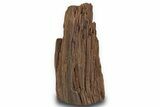 Permineralized Wood Covered In Sparkling Quartz - Germany #302189-2